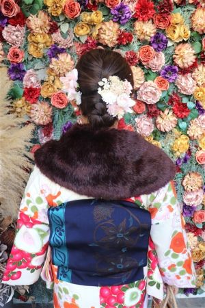 名古屋帯プラン