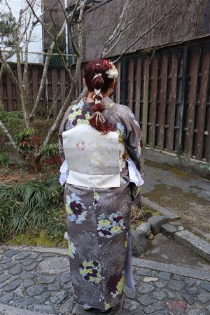 名古屋帯プラン