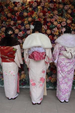 名古屋帯プラン