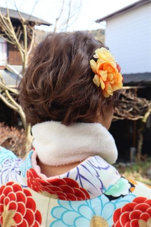 フリーチョイスヘアセット