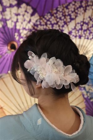 8チョイスヘアーセット