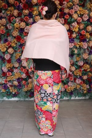 名古屋帯プラン