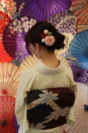 名古屋帯プラン