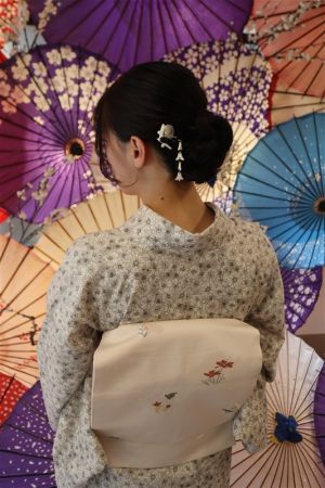 名古屋帯プラン