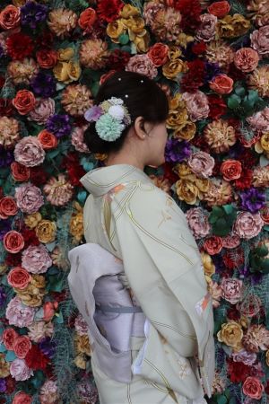 名古屋帯プラン