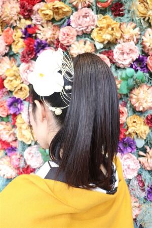 フリーチョイスヘアセット