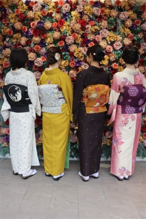 名古屋帯プラン