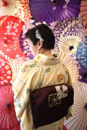 名古屋帯プラン