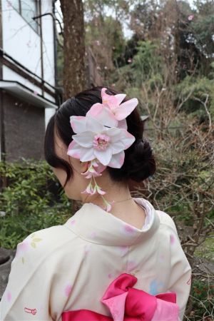 8チョイスヘアーセット