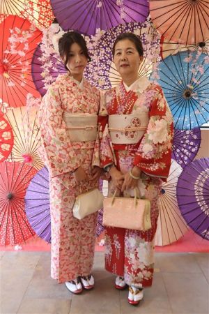 名古屋帯プラン