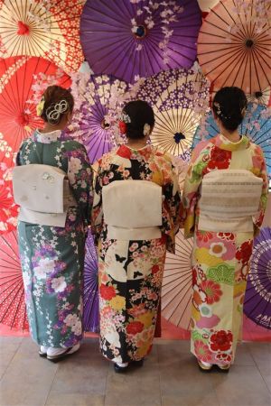 名古屋帯プラン