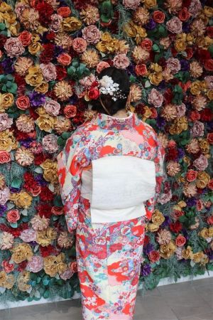 名古屋帯プラン