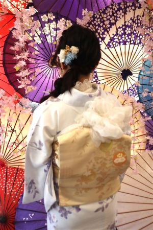 名古屋帯プラン