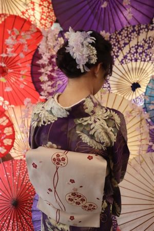 名古屋帯プラン