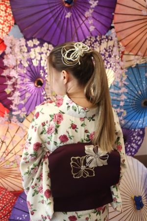 名古屋帯プラン