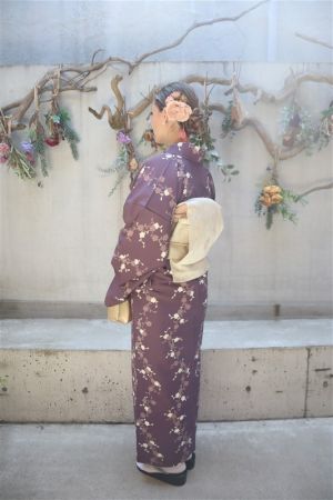 名古屋帯プラン