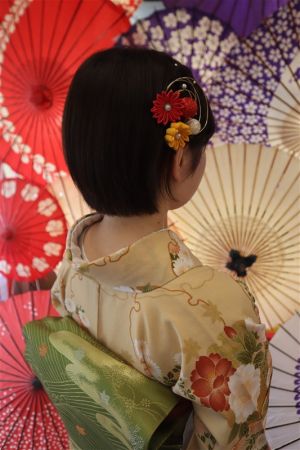 名古屋帯プラン