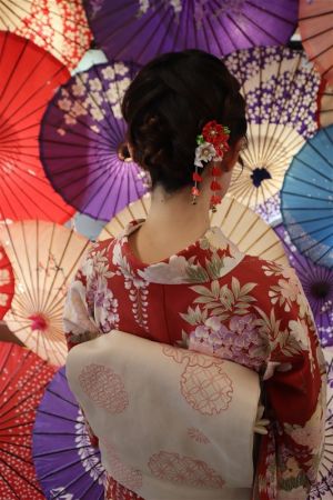 名古屋帯プラン