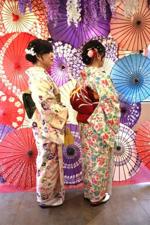 名古屋帯プラン