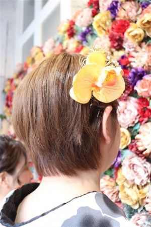 8チョイスヘアーセット