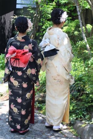 小紋
