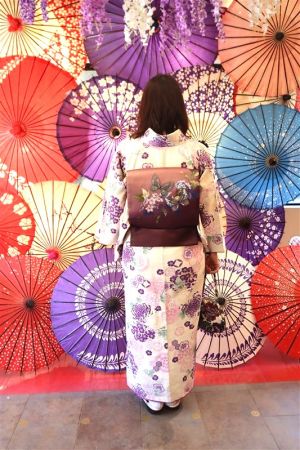 名古屋帯プラン