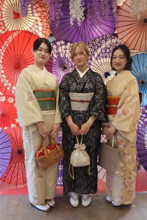 名古屋帯プラン