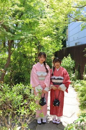 小紋