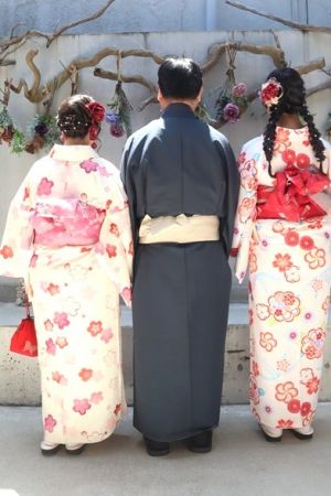小紋