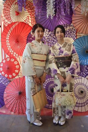 名古屋帯プラン