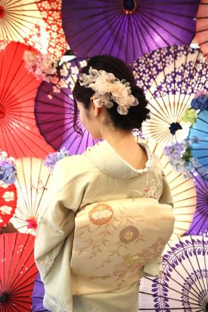 名古屋帯プラン