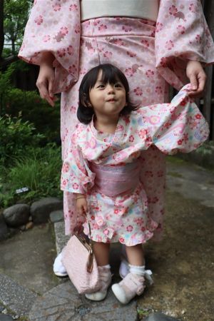 小紋