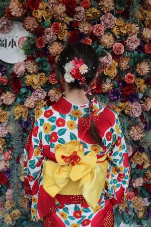 小紋