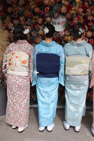 名古屋帯プラン