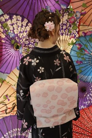 名古屋帯プラン