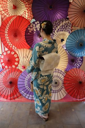 名古屋帯プラン
