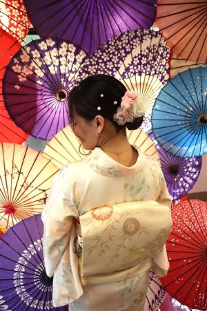名古屋帯プラン