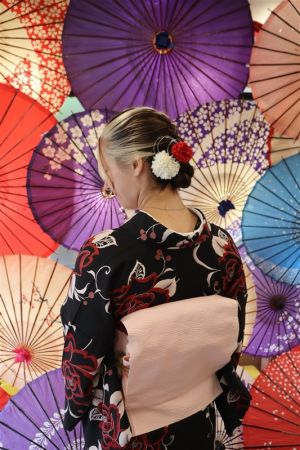 名古屋帯プラン