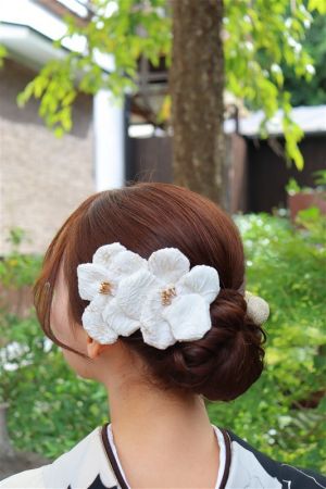 フリーチョイスヘアセット