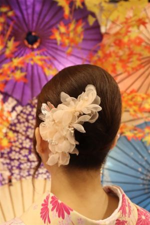 8チョイスヘアーセット