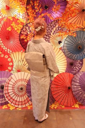 名古屋帯プラン