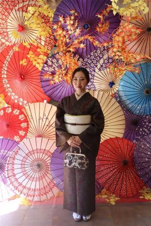 名古屋帯プラン