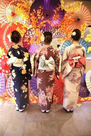 学割プラン