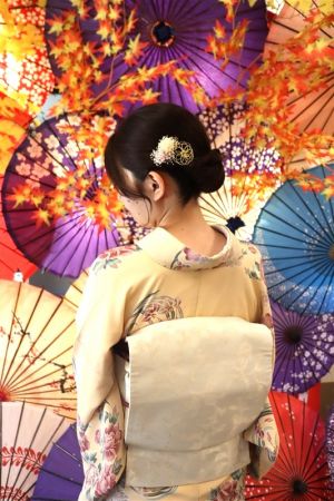 名古屋帯プラン