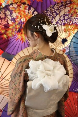 名古屋帯プラン