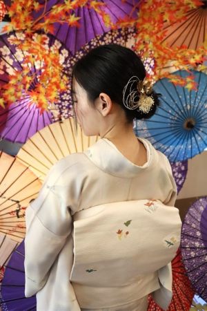 名古屋帯プラン