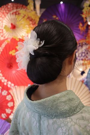 フリーチョイスヘアセット