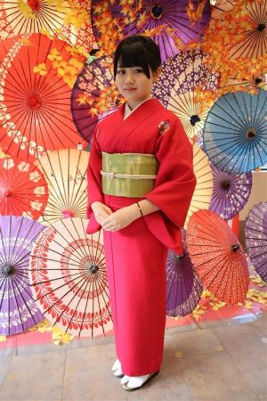 名古屋帯プラン
