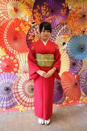 名古屋帯プラン