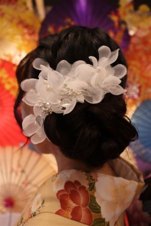 フリーチョイスヘアセット